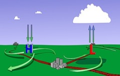 Why does hot air rise and cold air fall?